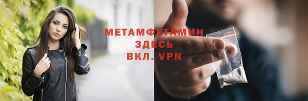 прущие грибы Пересвет