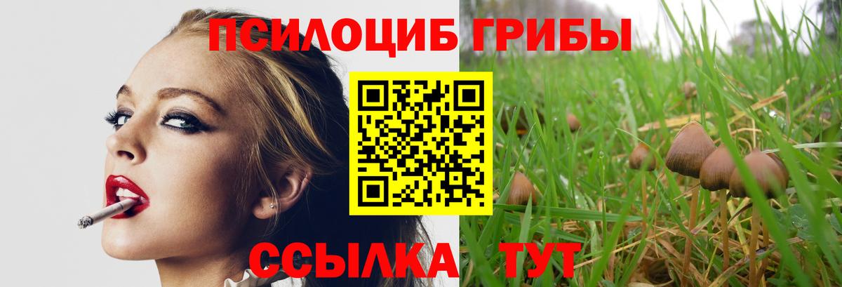 Галлюциногенные грибы Psilocybine cubensis Родники